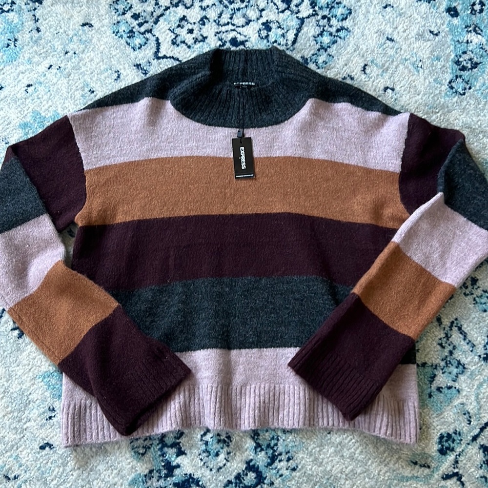NWT Express striped sweater